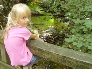 een speurtocht door het bos